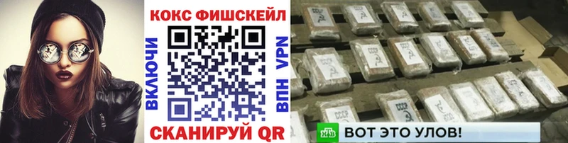 Cocaine FishScale  купить наркоту  Шумерля 