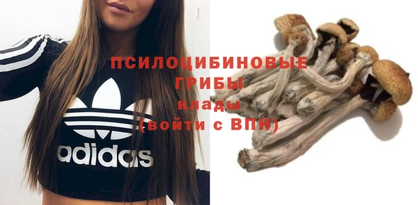 каннабис Белокуриха