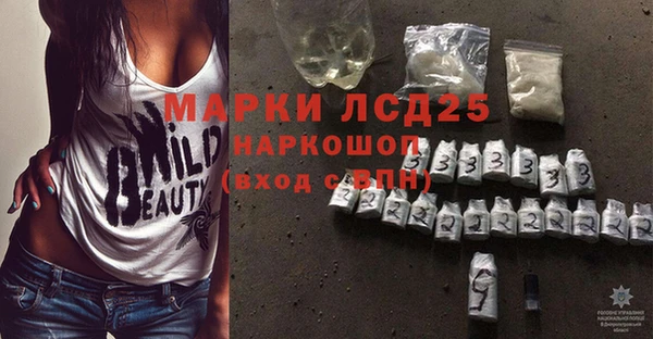 Альфа ПВП Новодвинск