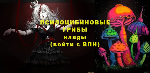 PSILOCYBIN Беломорск