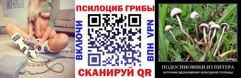 Псилоцибиновые грибы Magic Shrooms  площадка официальный сайт  Шумерля  ссылка на мегу  