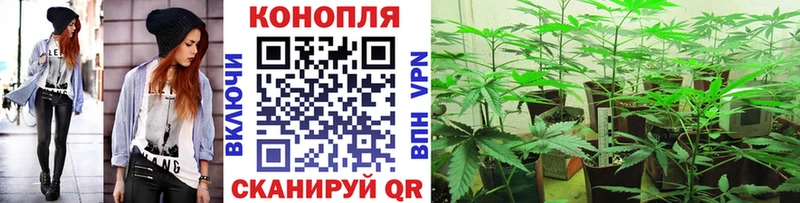 Конопля THC 21% Шумерля